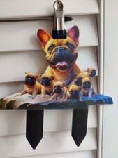 French bulldog pups - french, large