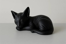 Sleeping Sphynx Baby Cat Cute