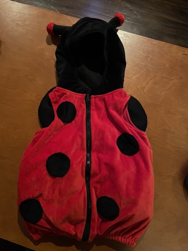 Toddler kids ladybug halloween - toddler/kids,