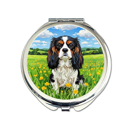 Cavalier king charles spaniel - king,
