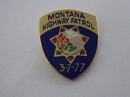 Pin badge crest state - badge,