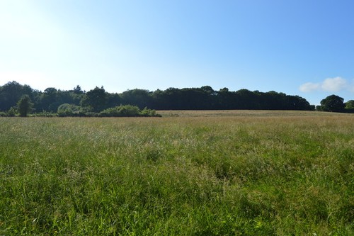 Photo 6x4 field - 6x4, near