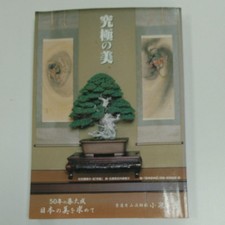 Keido Katayama School Bonsai