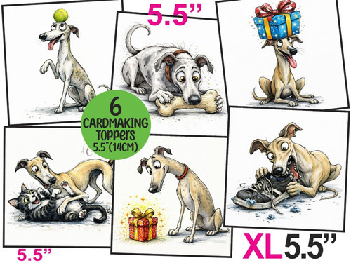 Fun greyhound mix dog - mix,