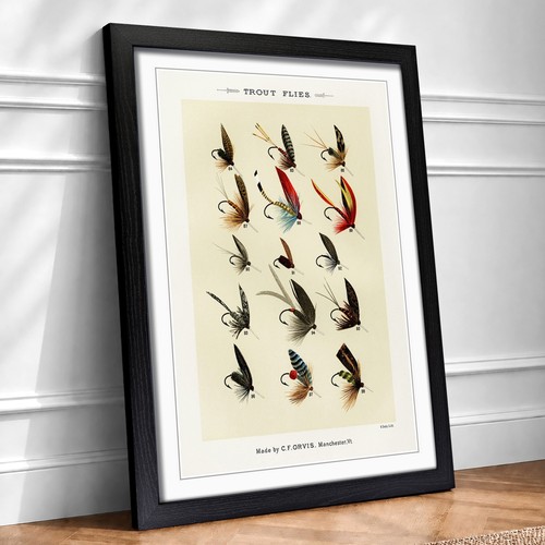 Trout fishing flies - fishing, 3