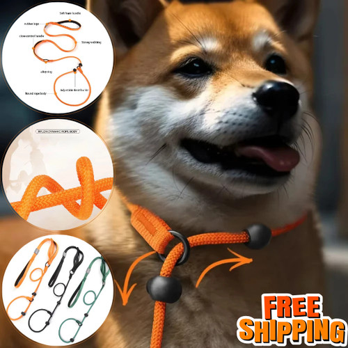 Dog training slip lead with - lead,