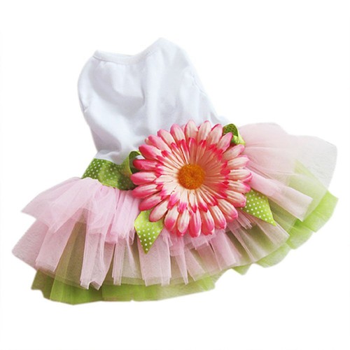 Stylish sweet sunflower - stylish,