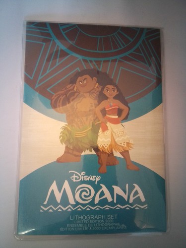 Moana disney store - disney,