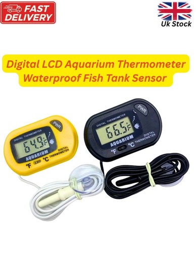 Digital lcd thermometer - digital,