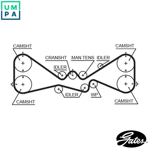 Timing belt 5612xs for - timing,