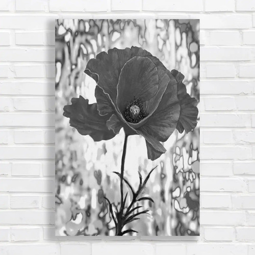 Vibrant red poppy - red,