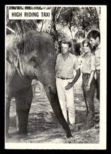 1966 Philadelphia Daktari #49