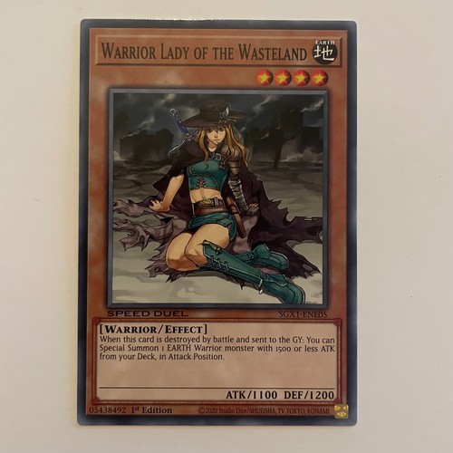 Warrior lady the - lady, wasteland