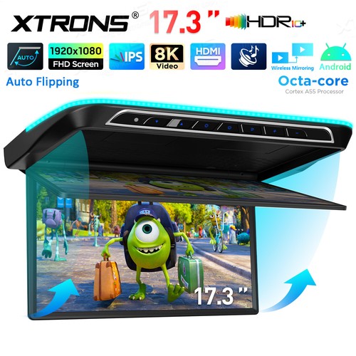 Fhd screen octa - 17.3", core