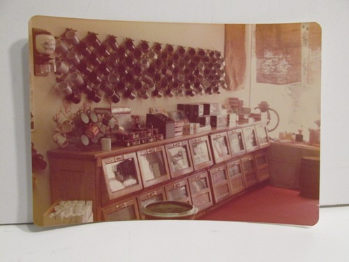 Vintage found photograph color - found,