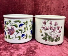 2 Lovely Large Portmeirion Planters. Botanic Garden & Welsh Dresser Plant Pot.