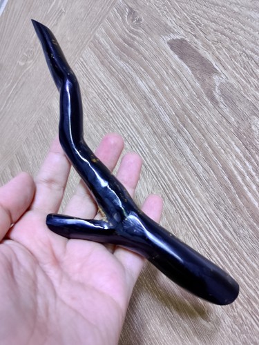 Black coral branch rare - coral,