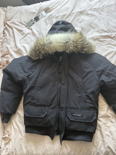 Canada goose chilliwack - canada,