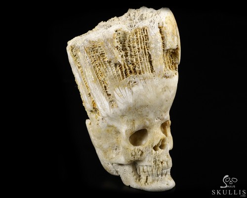 Coral fossil carved - coral,