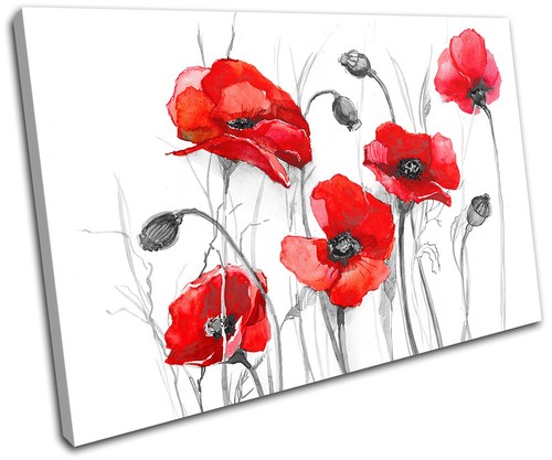 Poppies flowers floral single - flowers,