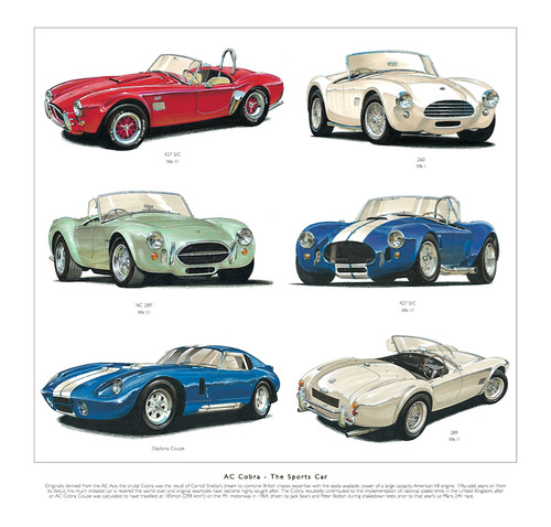 Fine art print depicting - fine,