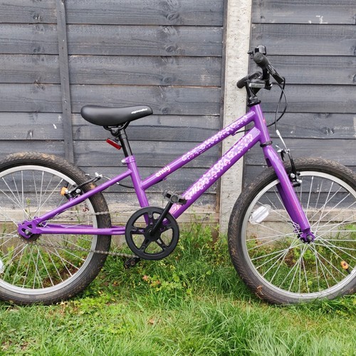 Apollo envy purple in - purple, 20