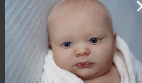 Reborn doll kit 3mth joseph - reborn,