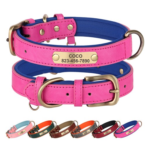 Personalised dog collar lead - dog,