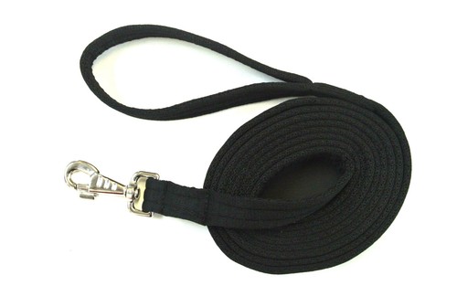 Dog training lead horse lunge - dog,