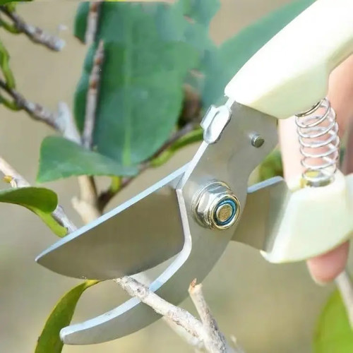 Gardening secateurs garden - gardening,