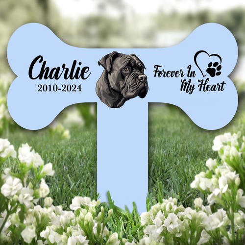 Bone blue cane corso dog - corso, heart