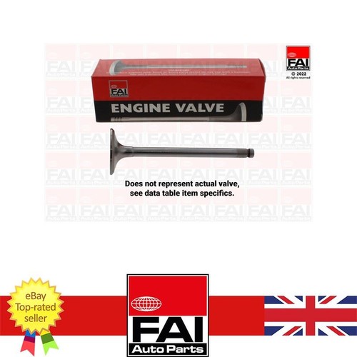Intake valve for irmscher - intake,
