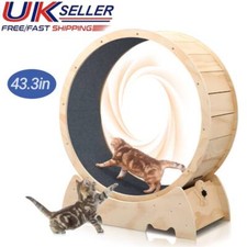 Cat Exercise Wheel / Cat