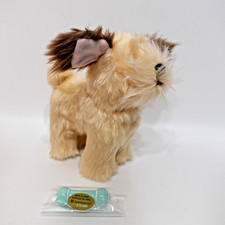 American Girl 2019 Wheaten