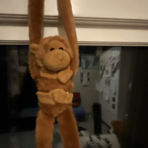 Brown plush hanging - brown, monkey