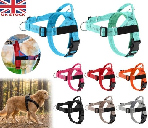 Pull dog harness - pull, clip