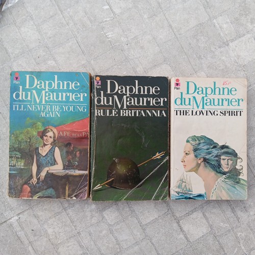 Vintage pan daphne - 3,