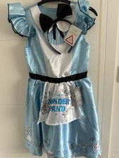 Alice in Wonderland Costume