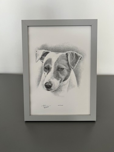 Framed jack russell art - framed, print