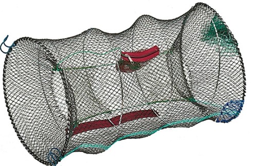 Crayfish lineaeffe livebait - ,