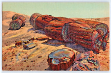 Giant Logs in Rainbow Forest