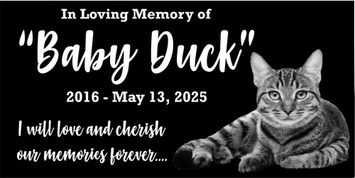 Personalized pet stone - personalized,