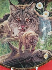 BRADEX:- NATURE'S CARESS /