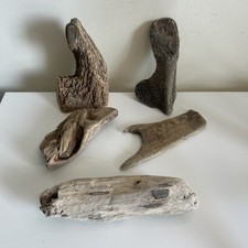 5 Unique Driftwood Pieces