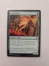 Young Wolf - Innistrad