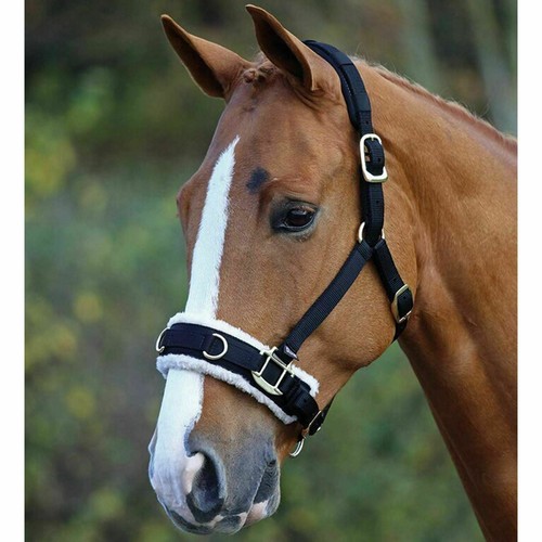 Horse master fleece lined - fleece,
