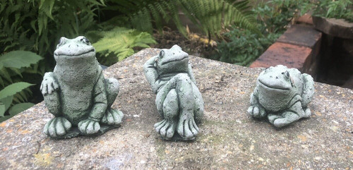 Trio small frogs garden - of,