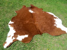 Make OFFER !! Hereford Brown