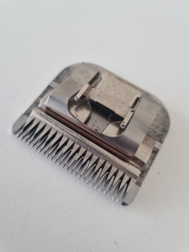 Oster pet animal dog - oster,