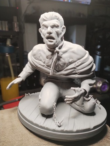 The hunchback notre dame - hunchback,